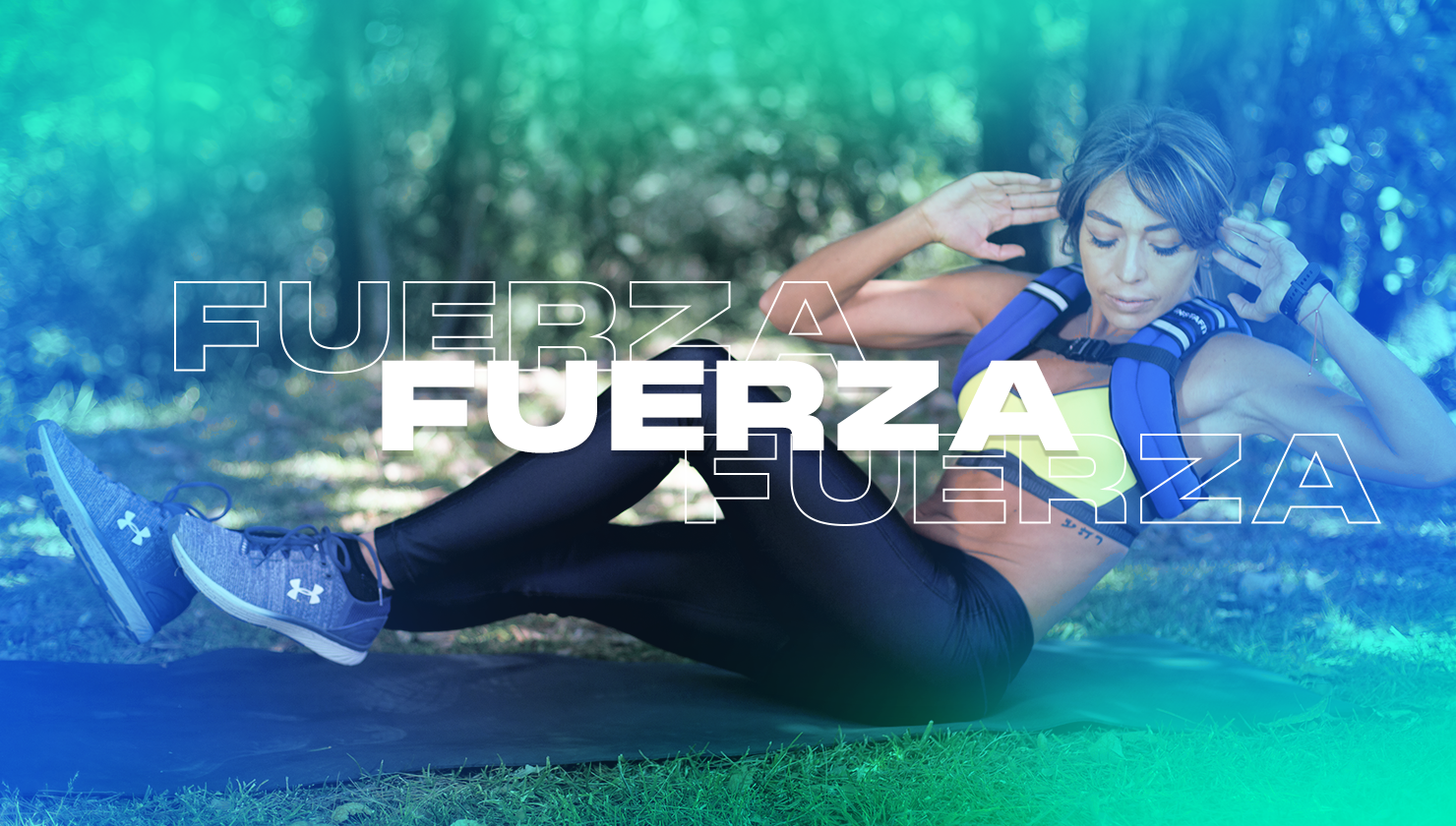 Descripción de la imagen