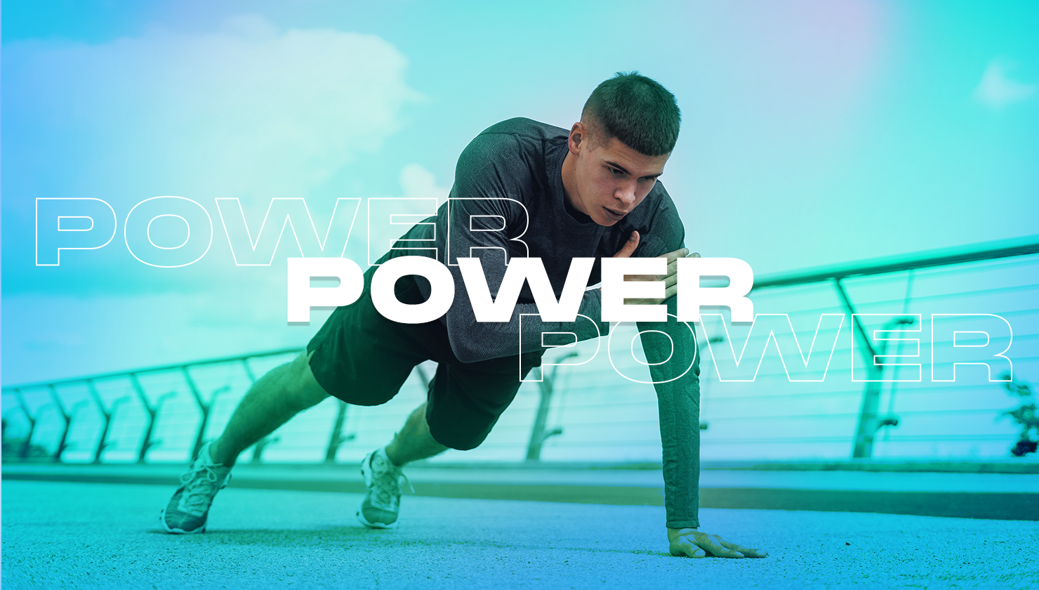 Descripción de la imagen