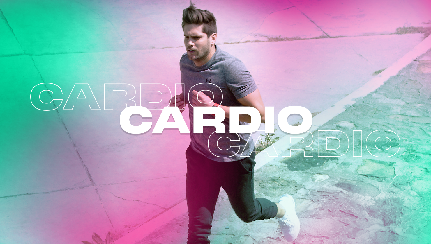 Descripción de la imagen